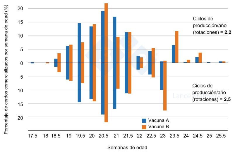 Figura 3: Dos granjas, pero una con menor&nbsp;variaci&oacute;n en las tasas de crecimiento, lo que&nbsp;representa menos cerdos de crecimiento lento&nbsp;debido a diferencias en el programa de&nbsp;vacunaci&oacute;n. Menos cerdos de crecimiento lento supone que las naves&nbsp;se vac&iacute;en&nbsp;antes sin incurrir en tantas penalizaciones.
